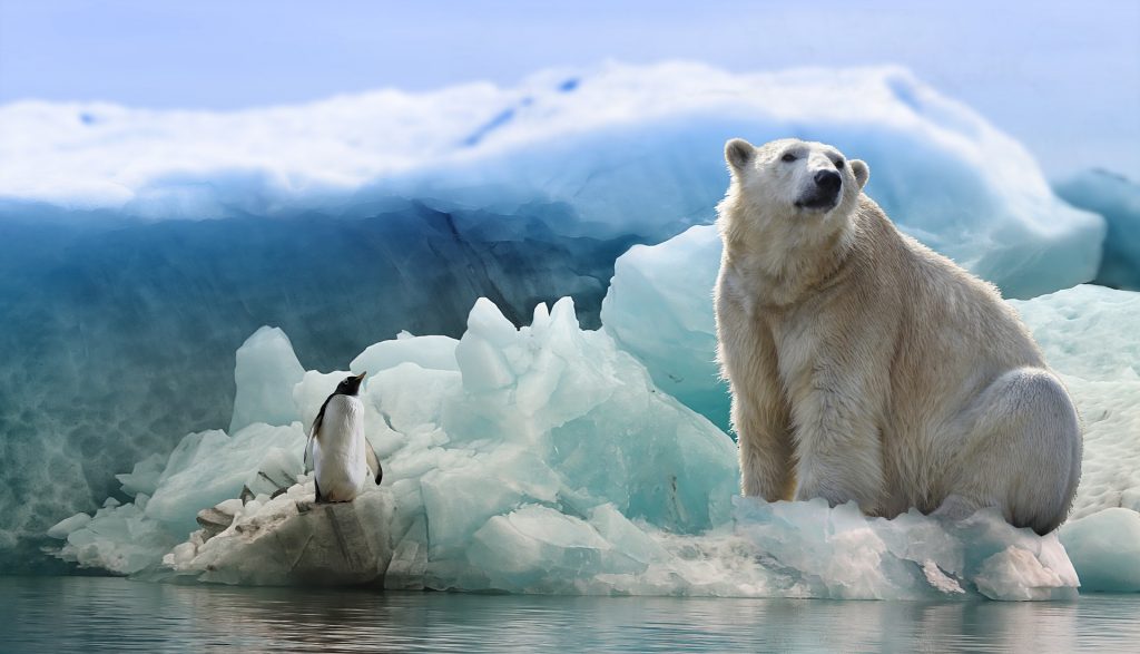 cambio climático.jpg