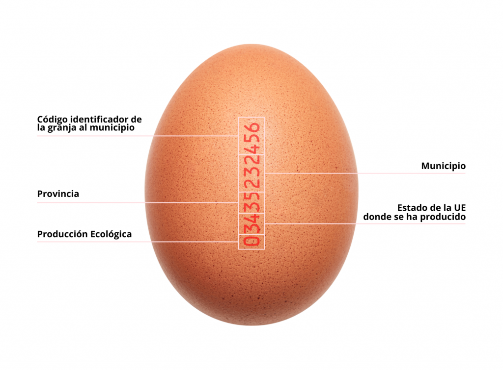 Granja ecológica sassorba huevos jpg.
