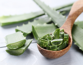 Propiedades y Beneficios del Gel Aloe Vera