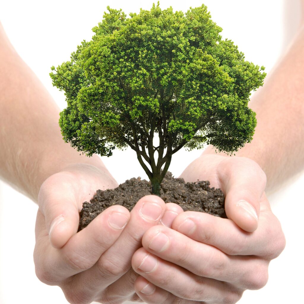 ¿QUÉ ES ECOLÓGICO? ¿CUÁNDO ALGO ES ECOLÓGICO?
